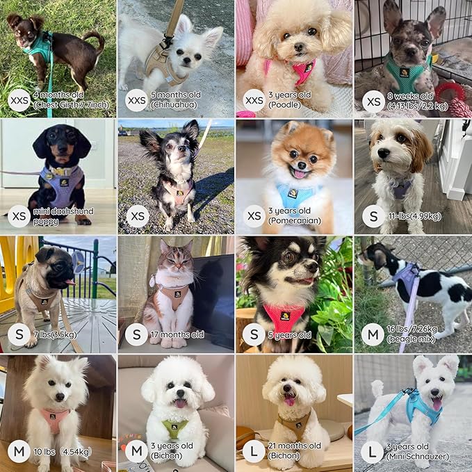 BELLA & PAL Puppy Harness with Leash Set, Dog Harness for Small Dogs No Pull, Dog Leash for Small Dogs, Step in Harness for Extra Small Dogs, Avocado Green Harness, XXS