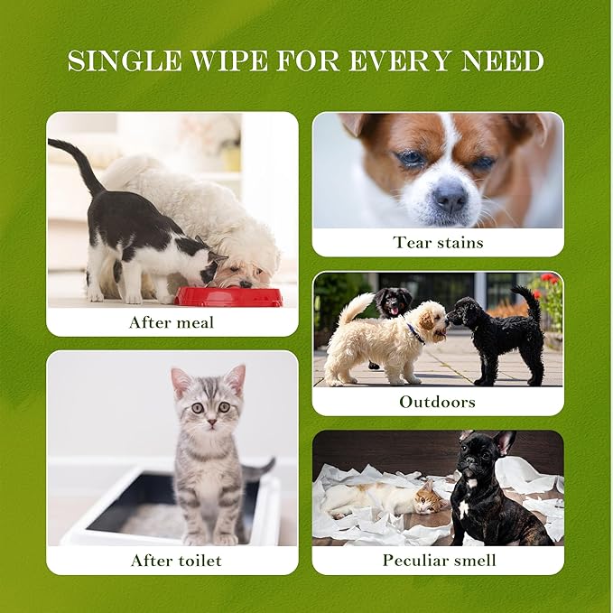Unscented Hypoallergenic Pet Wipes - Deodorizing Cleaning Wipes for Dogs & Cats, Alcohol-Free & pH Balanced, Thick & Large Wipes for Paws, Body, Bum & Face, 80 Count