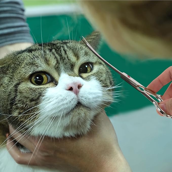 Dog Grooming Scissors, with Ergonomic Handle, Pill Popper for Cats, Upper Bend Shears, Stainless Steel Curved Shears for Dogs Cats, Silver Tone, 7.5"