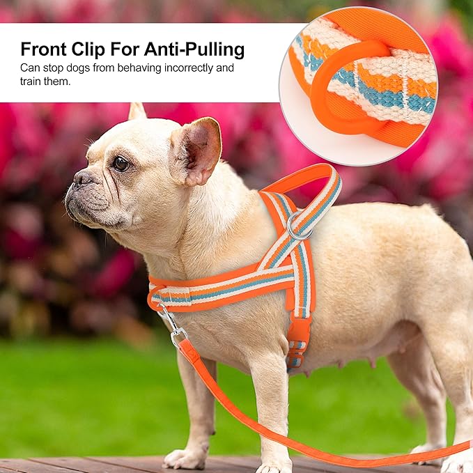 Beirui No Pull Dog Harness for Small Medium Dogs Puppies, Soft Neoprene Quick Fit Harness with Durable Front Clip & Back Clip, Lightweight Easy for Daily Walking (Striped Orange,S)