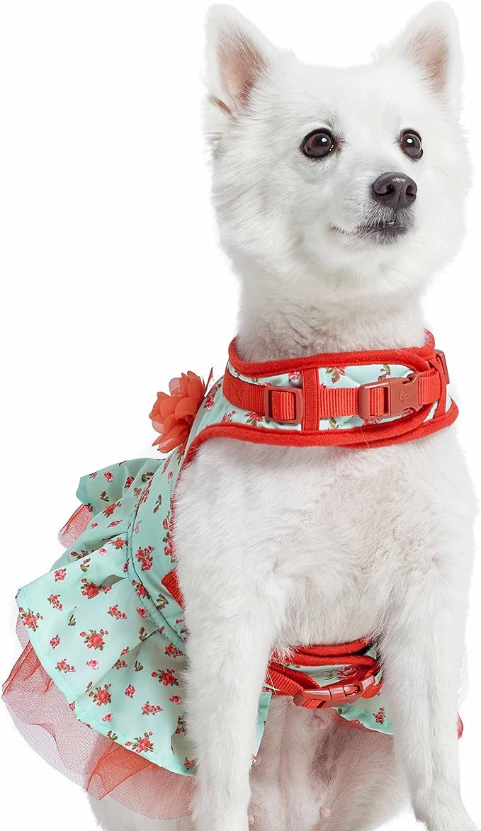 Blueberry Pet Soft & Comfy Spring Scent Inspired Floral No Pull Mesh Puppy Dog Costume Harness Dress, Turquoise, Chest Girth 14"-16", X-Small, Adjustable Harnesses for Dogs
