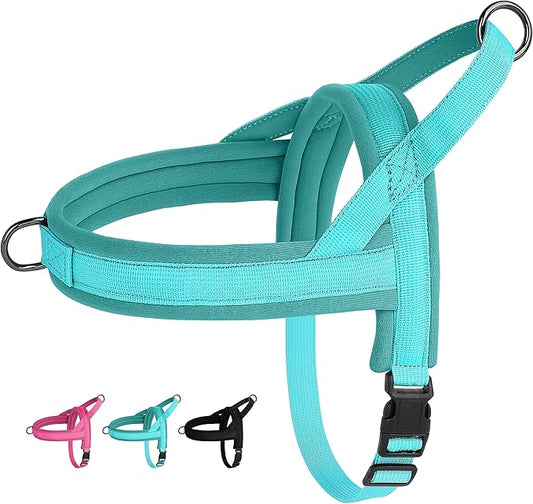 Beirui No Pull Dog Harness for Small Medium Dogs Puppies, Soft Neoprene Quick Fit Harness with Durable Front Clip & Back Clip, Lightweight Easy for Daily Walking (Blue,M)