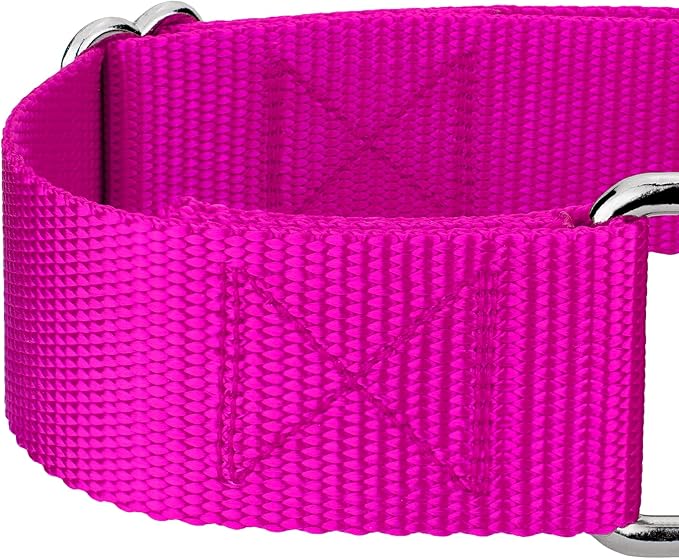 Country Brook Petz 1 1/2 Inch Martingale Heavy Duty Nylon Adjustable Dog Collar for Small, Medium, Large Breeds - Vibrant 17 Color Selection (Fuchsia, Large)