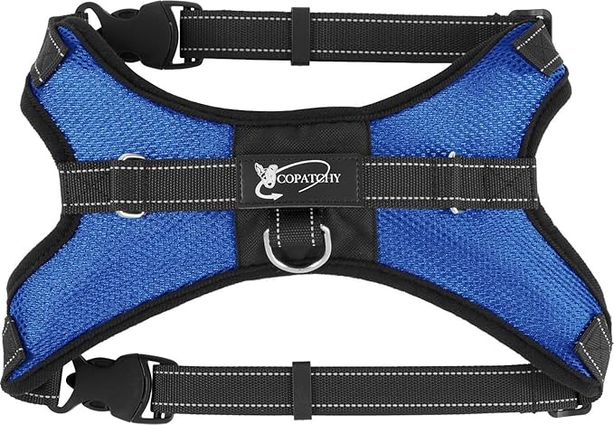 No Pull Reflective Adjustable Dog Harness with Handle- Comfortable Soft All Weather Mesh, Easy On Puppy Harness for Small Medium and Large Dogs (Blue) Large