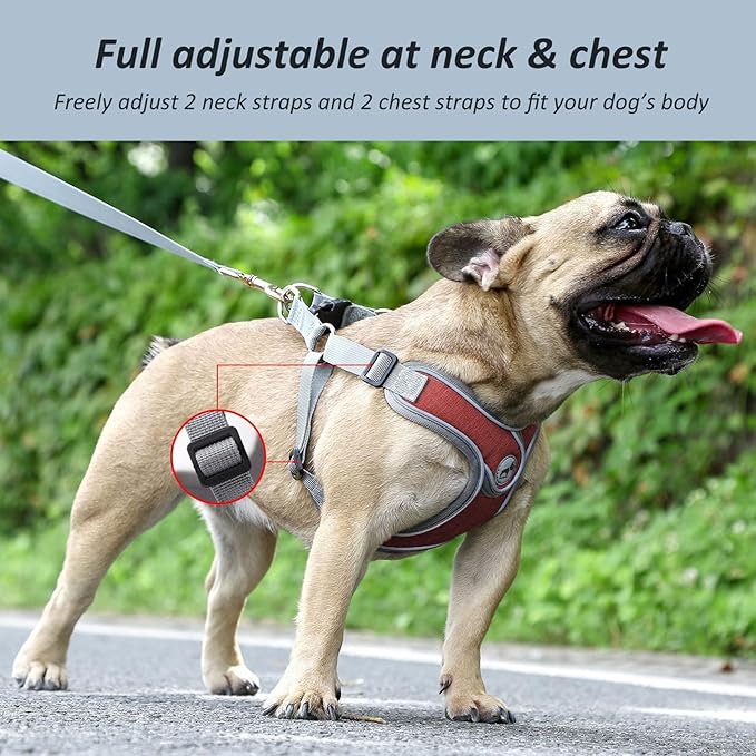 Dog Harness with Leash Set, No Pull Adjustable Step in Dog Collars Frenchie Harness Vest Harness for Small Medium Dogs Walking and Running(S, Red)