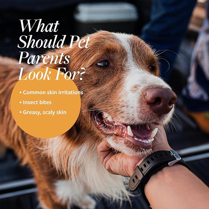 Veterinary Formula Clinical Care Dog Shampoo with Oatmeal and Tea Tree Oil, 128 oz – Fast-Acting, Gentle Medicated Shampoo for Dogs