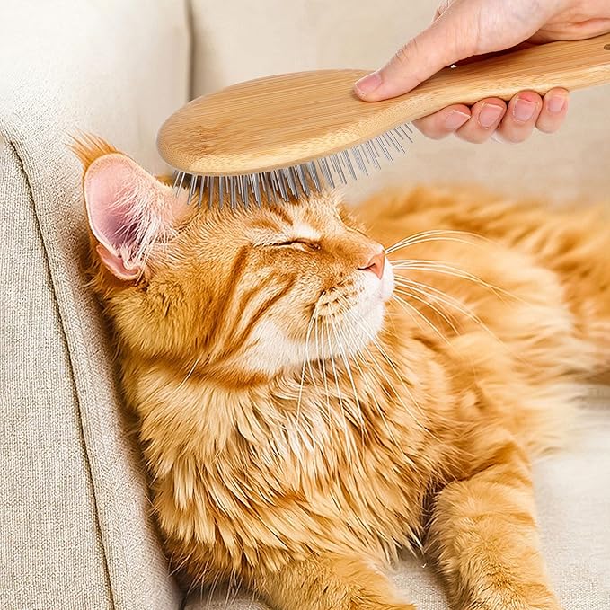 cobee Stainless Steel Pin Dog Brush, Bamboo Handle Grooming Brush 20mm Round Pins Airbag Pet Comb Professional Dog Pin Brush Fur Shedding Comb for Long or Short Hair Cat Dog