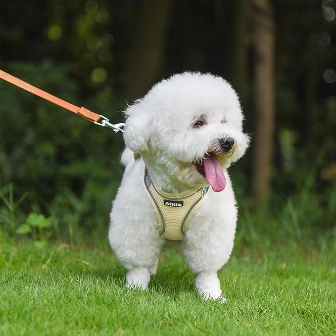 AIITLE Escape Proof Dog Harness - Step in Adjustable Dog Harness No Choke Over with Breathable Mesh and Quick-Release Buckle for Spring- Outdoor Walking, Camping, Training for Medium Dogs Beige XL