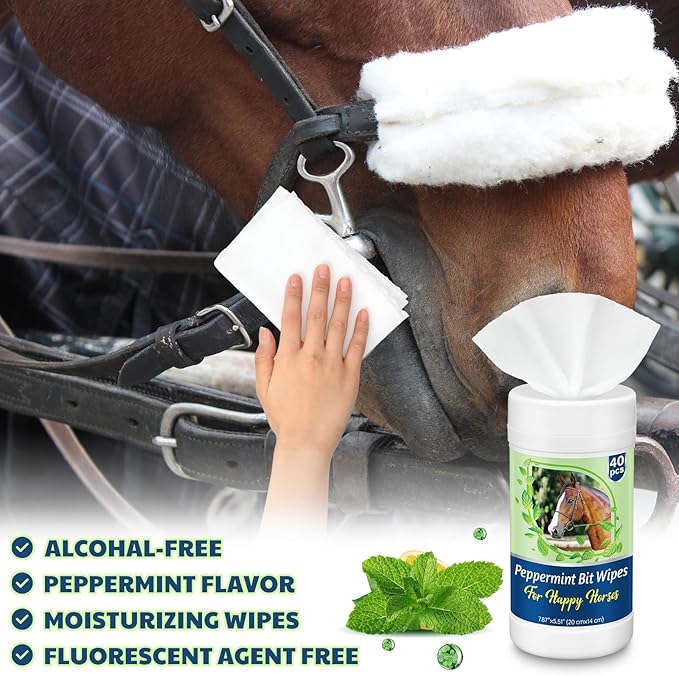 3 Pack Horse Bit Wipes 120 Pcs Peppermint Horse Bit Cleaners for Happy Horse Disposable Cleaning Wipes for English or Western Bits