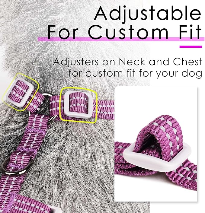 ThinkPet Harness and Leash Set Reflective Breathable Soft Air Mesh No Pull Puppy Choke Free Over Head Vest Ventilation Harness with Leash for Puppy Small Medium Dogs and Cats