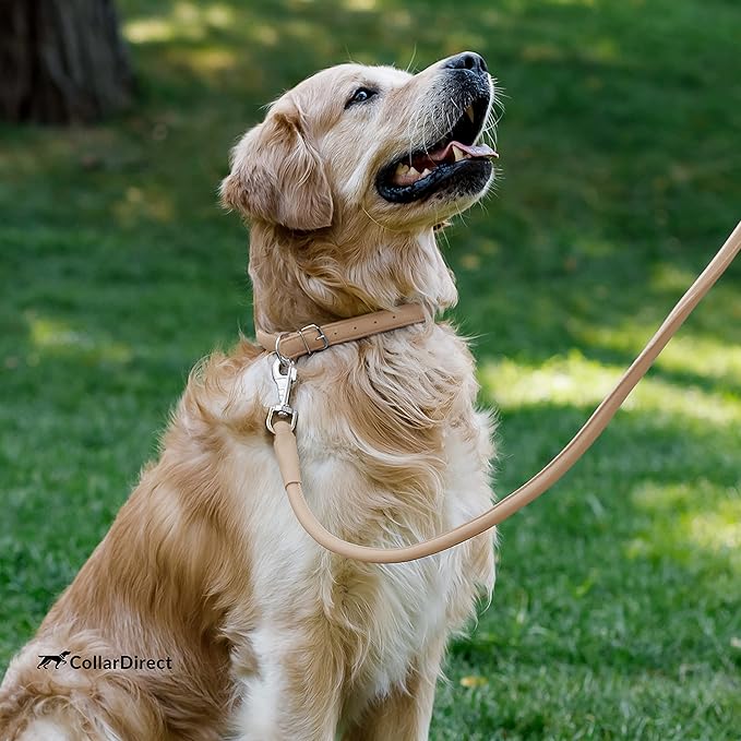 CollarDirect Rolled Leather Dog Collar, Soft Padded Round Puppy Collar, Handmade Genuine Leather Collar Dog Small Large Cat Collars 13 Colors (6-7 Inch, Beige Textured)