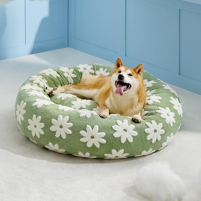 Lesure Donut Large Dog Bed - Round Cat Beds for Indoor Cats Anti-Anxiety Calming Pet Beds, Washable Cute Modern Beds with Teddy Sherpa Plush & Anti Slip Bottom Green