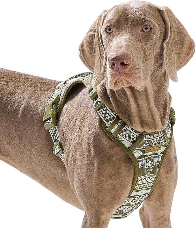 Heavy Duty No Pull Dog Harness for Large Dogs,Like Labrador, Golden Retriever, German Shepherd, Adjustable Soft Padded Dog Vest, Breathable Pet Oxford Vest with Easy Control Handle, Easy on, L