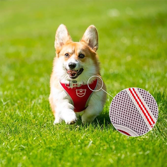 HUGO & HUDSON Dog Harness No-Pull Pet Harness Adjustable Quick Dry Mesh Padded Vest, Red, S