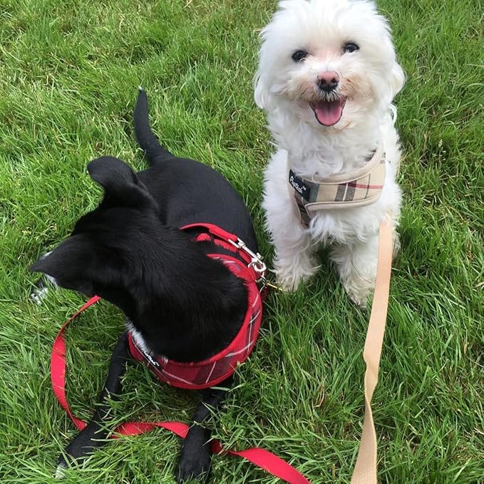 PUPTECK Soft Mesh Dog Harness and Leash Set Pet Puppy Cat Comfort Padded Vest No Pull Harnesses, Red, S