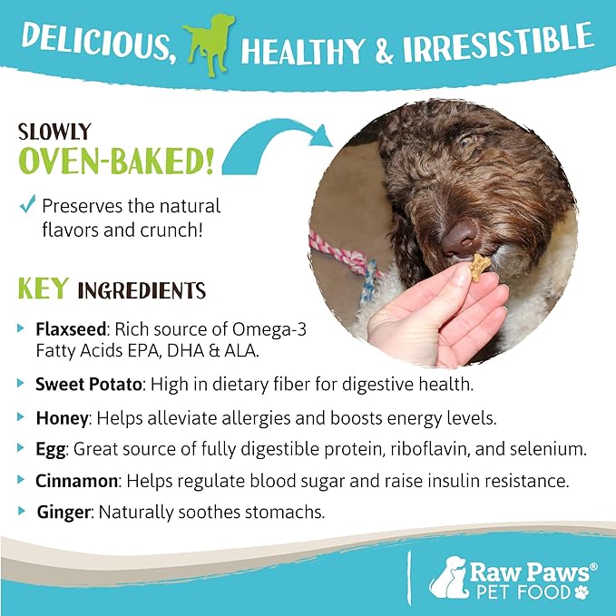 Raw Paws Mini Bones for Dogs - Sweet Potato & Honey Recipe, 10-oz - Made in USA Mini Dog Biscuits, Small Training Treats for Dogs - Wheat, Corn, Soy Free Crunchy Dog Treats, Mini Bones for Dogs