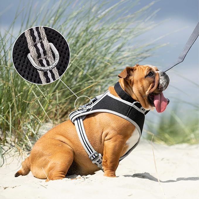 HUGO & HUDSON Dog Harness No-Pull Pet Harness Adjustable Quick Dry Mesh Padded Vest, Black, L