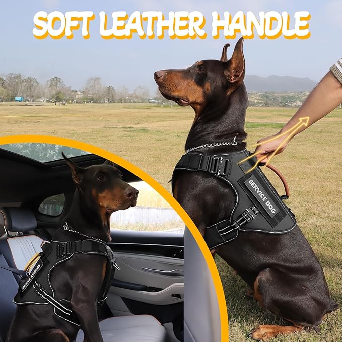 Service Dog Vest - HEYCAHVA Tactical Dog Harness Full Metal Buckles Dog Vest for Large Medium Dog Reflective No Pull Dog Harnesses Vest with Leather Handle, Hook & Loop for Hiking Training (Black, L)