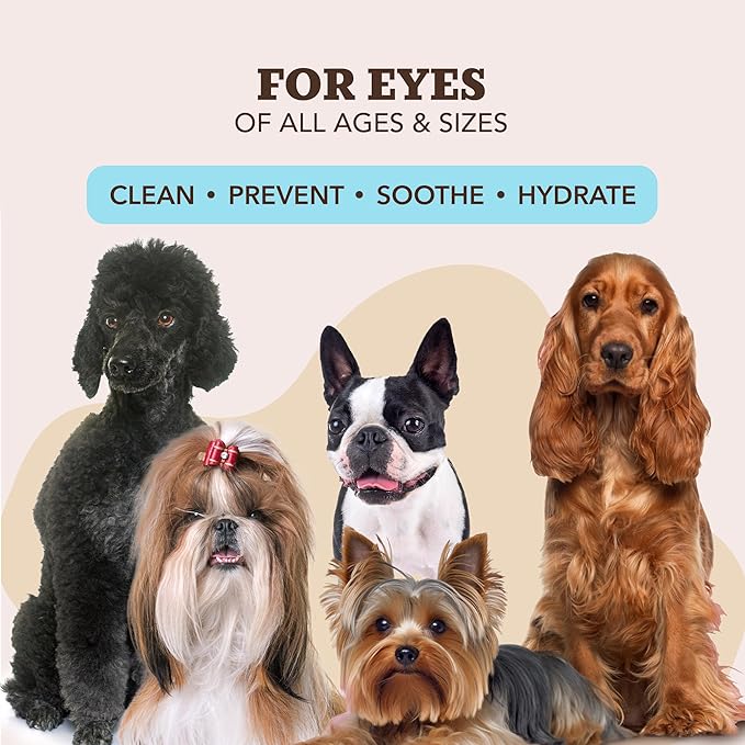 Natural Dog Eye Wipes for Dogs -100 Ct- Soothing Dog Eye Wipes with Natural, Non-Irritating Ingredients Green Tea & Goldenseal, Effective Dog Tear Stain Remover Wipe & Dog Eye Gunk Remover Wipe, Vegan