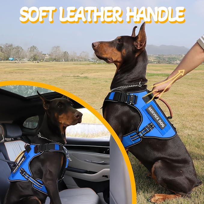Service Dog Vest - HEYCAHVA Tactical Dog Harness Full Metal Buckles Dog Vest for Large Medium Dog Reflective No Pull Dog Harnesses with Leather Handle, Hook & Loop for Hiking Training (Blue, L)