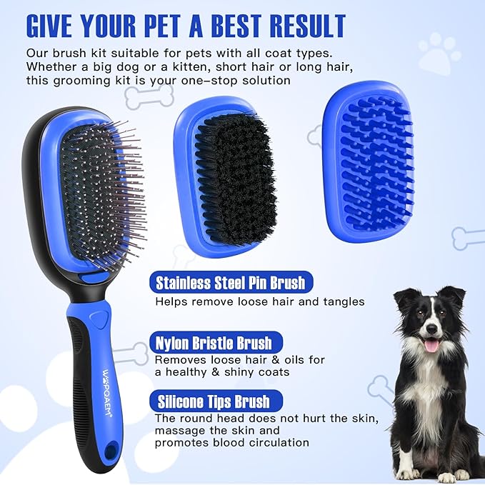 Dog Grooming Brush Kit 5-in-1 with Interchangeable Heads – Ideal for Medium & Large Dogs and Cats with Medium to Long Hair – Reduces Shedding, Removes Tangles, and Controls Loose Fur. Blue