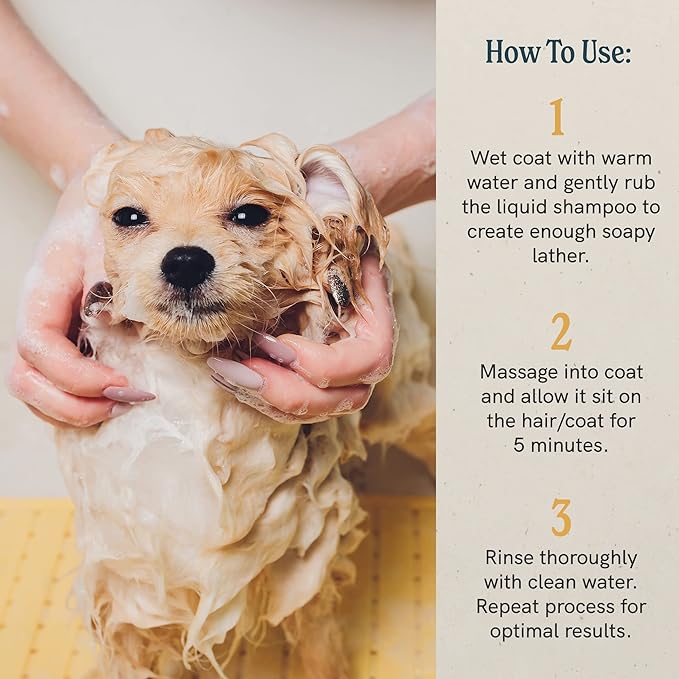 J·R·LIGGETT'S Dog Liquid Shampoo Great for Sensitive Skin | Relieves Dry Skin | Dog Itch Relief Hypoallergenic Formula | 100% Ecologically Correct, Non-GMO, Detergent-Free, 8.45 oz.