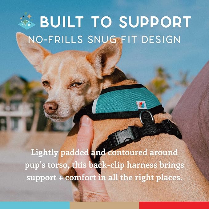 Dog Harness, Puppy Harness, Soft Harness for Dogs, Comfortable Dog Harness, Small Dog Harness, Dog Harness with Padding, 4 Point Adjustable - Wildebeest (M - 22~28 inch Girth, Turquoise)
