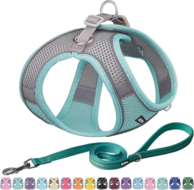 AIITLE Escape Proof Dog Harness - Step in Adjustable Dog Harness No Choke Over with Breathable Mesh for Spring- Outdoor Walking, Camping, Training for Medium Dogs Turquoise XL