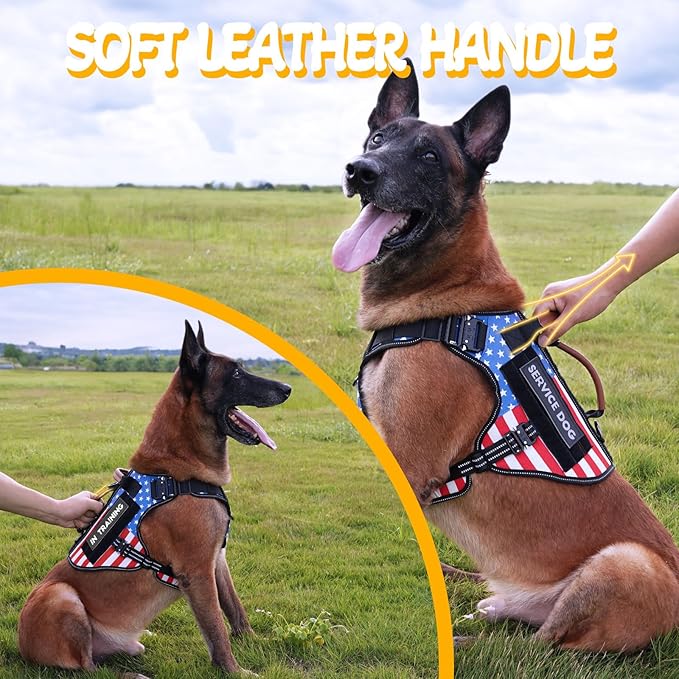 Service Dog Vest - HEYCAHVA Tactical Dog Harness Full Metal Buckles Dog Vest for Large Medium Dog Reflective No Pull Dog Harnesses with Leather Handle, Hook & Loop for Hiking Training (Flag, L)