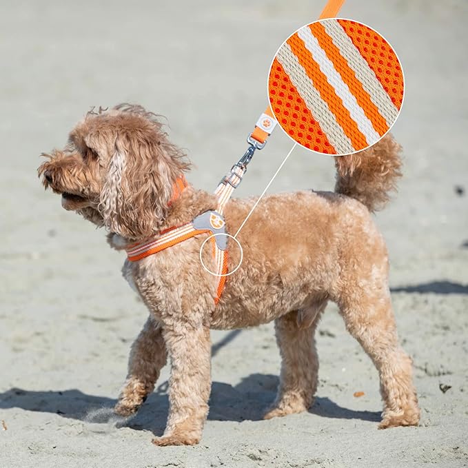 HUGO & HUDSON Easy Walk Dog Harness, Adjustable Quick Dry No-Pull Pet Harness, Orange, Size 2