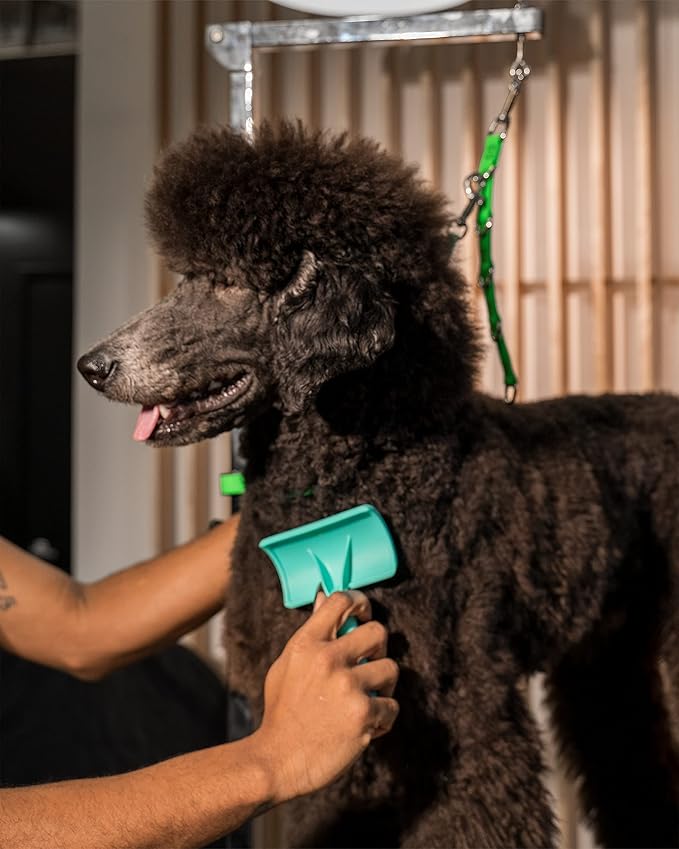 Jelly Pet Universal Slicker Brush for Dogs, Grooming Brush, Remove Tangles and Dead Undercoat, Tuffer Than Tangles, Doodle Huskie Sheep Dog Golden Retriever German Shepherd, Firm Pins, Teal, Large