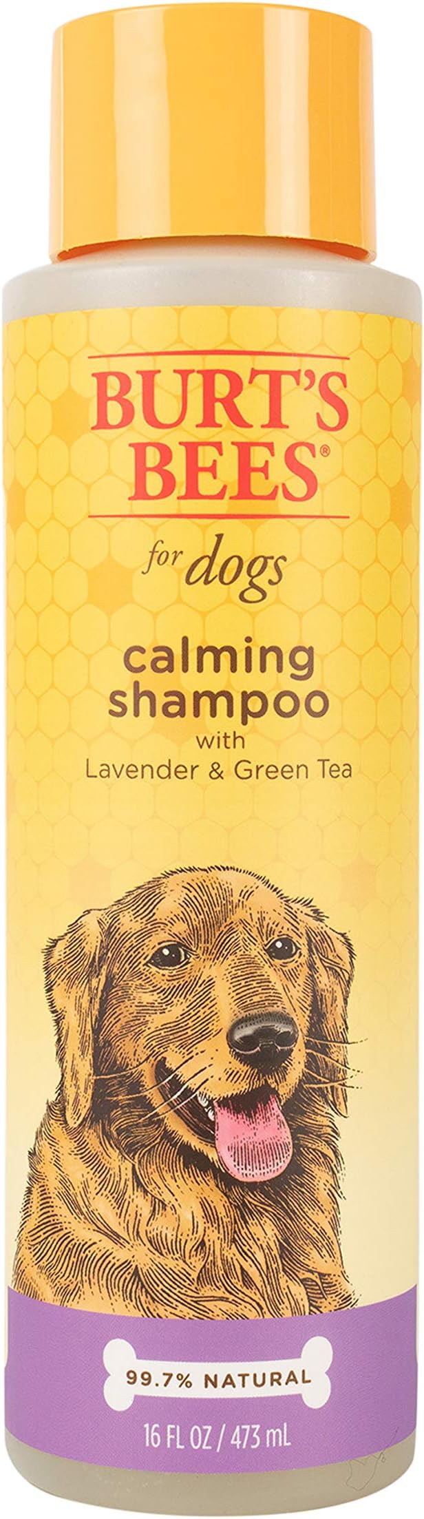 Burt's Bees for Pets Calming Dog Shampoo with Lavender and Green Tea, 2 Pack, 95% Natural Origin Formulas, Calming Lavender Dog Shampoo - Gentle Dog Shampoo, Best Dog Shampoo, Lavender, 2pk, 16 oz