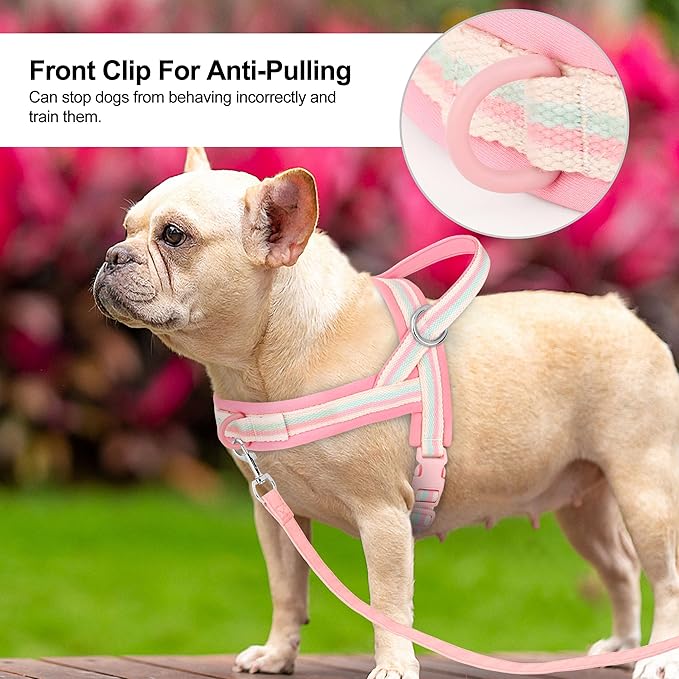 Beirui No Pull Dog Harness for Small Medium Dogs Puppies, Soft Neoprene Quick Fit Harness with Durable Front Clip & Back Clip, Lightweight Easy for Daily Walking (Striped Pink,XS)
