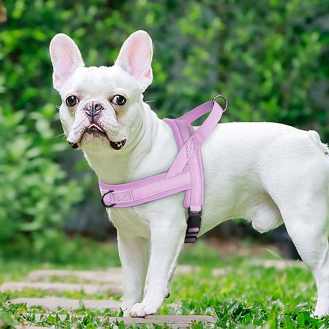 Beirui No Pull Dog Harness for Small Medium Dogs Puppies, Soft Neoprene Quick Fit Harness with Durable Front Clip & Back Clip, Lightweight Easy for Daily Walking (Purple,S)