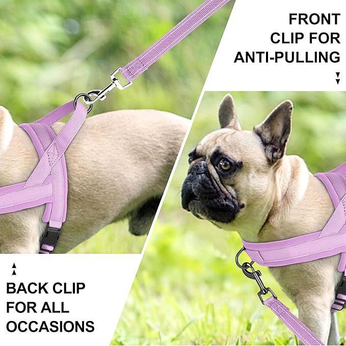 Beirui No Pull Dog Harness for Small Medium Dogs Puppies, Soft Neoprene Quick Fit Harness with Durable Front Clip & Back Clip, Lightweight Easy for Daily Walking (Purple,S)
