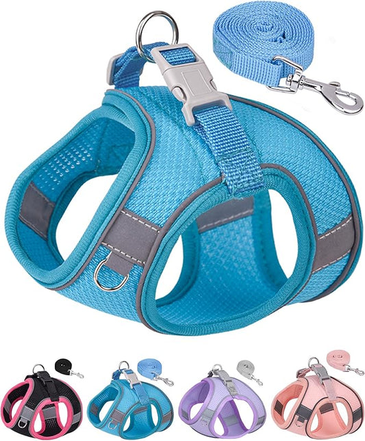 Dog Harness for Small Medium Sized Dog, Puppy Harness and Leash Set Training, Dog Harness and Leash Set, Dog Vest Harness, Dog Harness Small Sized Dog, Small Dog Harness. (Blue, XS)