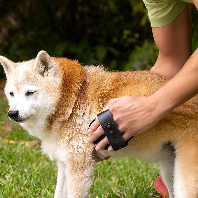 5-in-1 Moisturizing Dog Wash & Grooming Brush Set - Made with Naturally Derived Ingredients to Cleanse, Soothe, Deodorize, and Soften The Skin and Coat