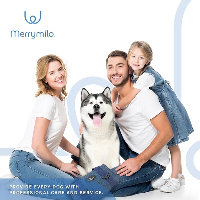 Dog Lift Harness and Carry Sling: Large Pet Rehab Vest w/Front & Rear Handle & U-Shaped - Hind Leg Support-Assist Disabled, Injured, Aged/Elderly Dogs with Mobility- Arthritis, Up & Down Stair (S)