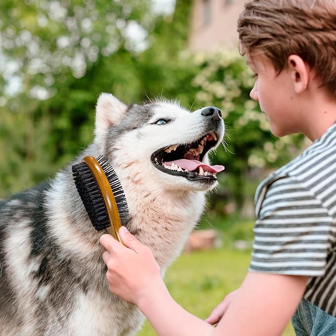 TAKAVU Dog Cat Detangling Brush, Two-Sided Pin & Boar Bristle Grooming Brush for Removing Loose Hair Dirt and Promoting Healthy Coat, De-shedding Pet Supplies Comb, Detangler Brush for Dogs, Cats