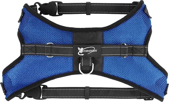 No Pull Reflective Adjustable Dog Harness With Handle- Comfortable Soft All Weather Mesh, Easy On Puppy Harness For Small Medium and Large Dogs (Blue) X-Large