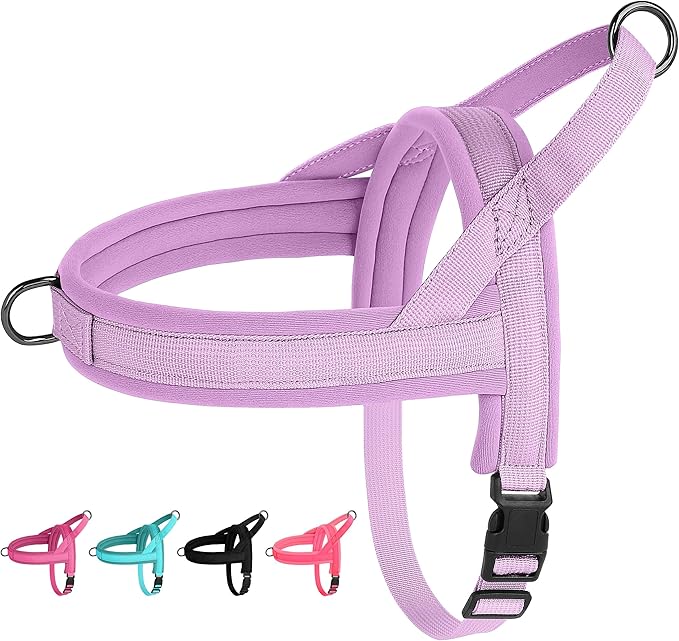 Beirui No Pull Dog Harness for Small Medium Dogs Puppies, Soft Neoprene Quick Fit Harness with Durable Front Clip & Back Clip, Lightweight Easy for Daily Walking (Purple,S)
