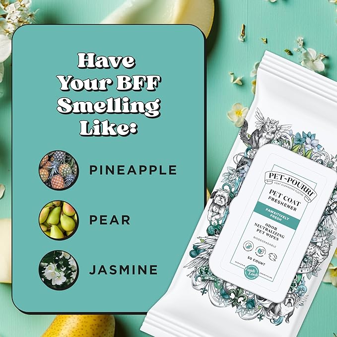 Pet-Pourri Pawsitively Fresh Deodorizing Pet Wipes – Quick Cleaning Wipes for Dogs & Cats – Plant Based Ingredients – Vet Recommended – Cleaner Odor Remover Wipes for Paw, Fur & Skin Soothing