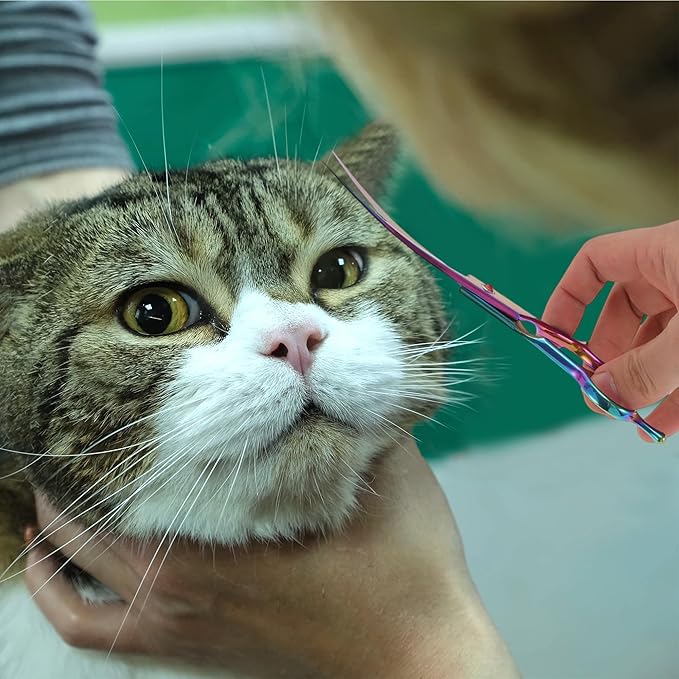 Dog Grooming Scissors, with Ergonomic Handle, Pill Popper for Cats, Upper Bend Shears, Stainless Steel Curved Shears for Dogs, Assorted Color, 7.5"