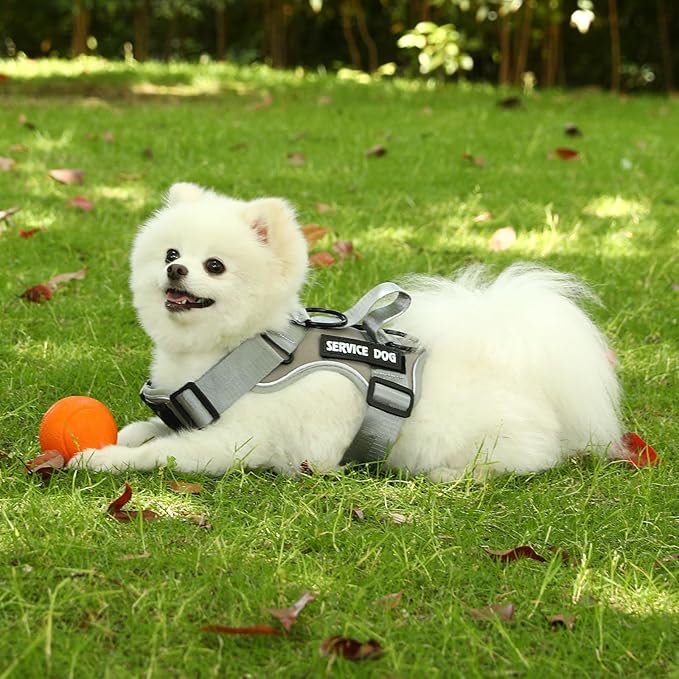 Demigreat Service Dog Harness, Reflective Dog Vest Harness with 5 PCS Patches, Adjustable Soft Oxford Pet Harness, Inner Layer Mesh, Easy to Control for Small Medium Large Dogs