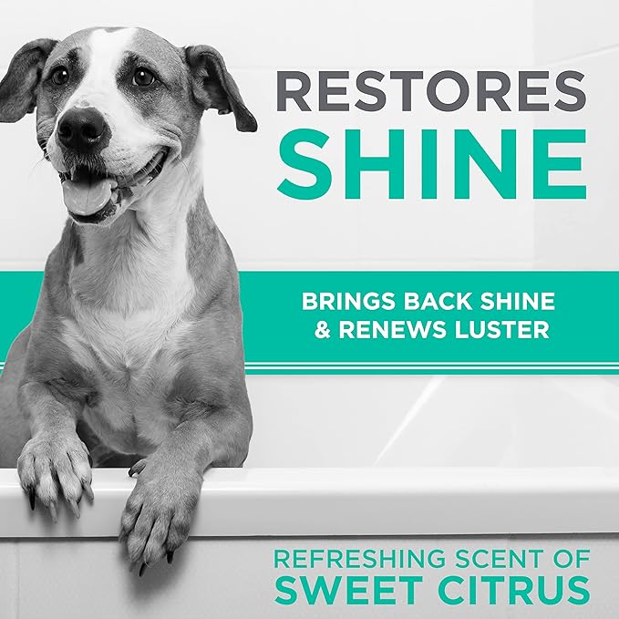 TropiClean Perfect Fur Deshedding Dog Shampoo for Breeds with Smooth Coats like Boxers, Bulldogs, Pointers, and Greyhounds, Natural Moisturizing Shampoo for Dry Flaky Skin, Puppy Safe, 16oz.