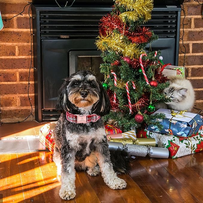 Lionheart glory Christmas Plaid Dog Collar, Dogs Collar Adjustable Soft and Comfortable Dog Collars for Large Dogs Girl or Boy Pet Gift Fall Collar Dog Collar