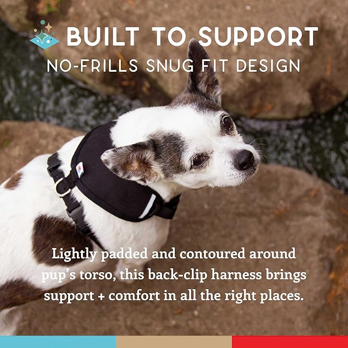 Dog Harness, Puppy Harness, Soft Harness for Dogs, Comfortable Dog Harness, Small Dog Harness, Dog Harness with Padding, Snug Fit Design, 4 Point Adjustable - Wildebeest (M - 22~28 inch Girth, Black)