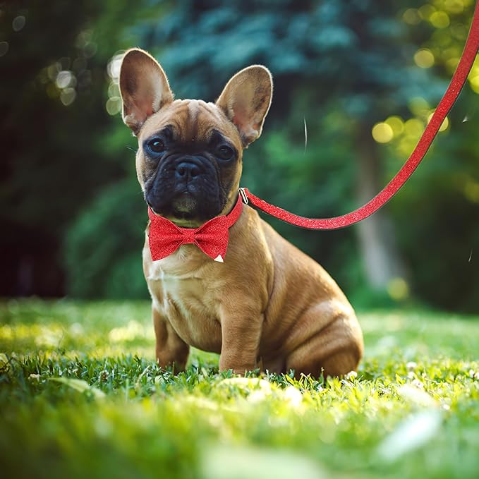 Bling Bow Tie Dog Collar and Leash Set, Red Christmas Dog Collar with Bow and 5ft Leash for Puppy Small Dogs, Cute Walking Boy and Girl Dog Collar Set (Neck fit 9-12’’)