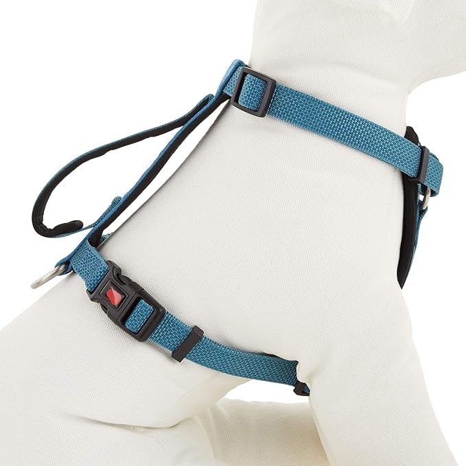 KONG Comfort Padded Chest Plate Dog Harness offered by Barker Brands Inc(Medium, Blue).