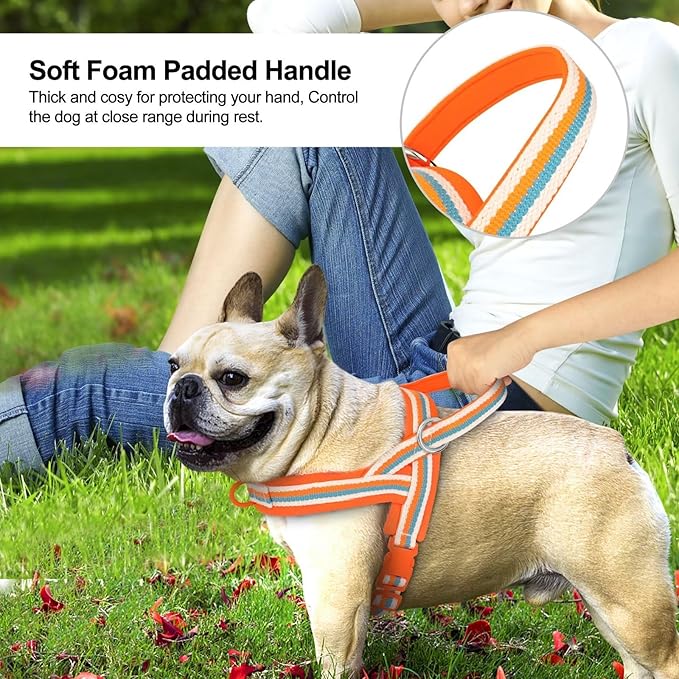 Beirui No Pull Dog Harness for Small Medium Dogs Puppies, Soft Neoprene Quick Fit Harness with Durable Front Clip & Back Clip, Lightweight Easy for Daily Walking (Striped Orange,S)